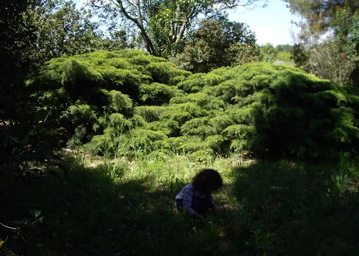 Le Mas Du Ruisseau